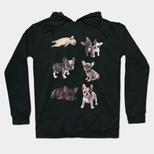 Frenchie puppies Hoodie